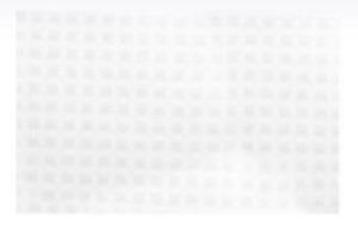 Picture of (10) MotorScrubber Shock Melamine Hard Surface Pad