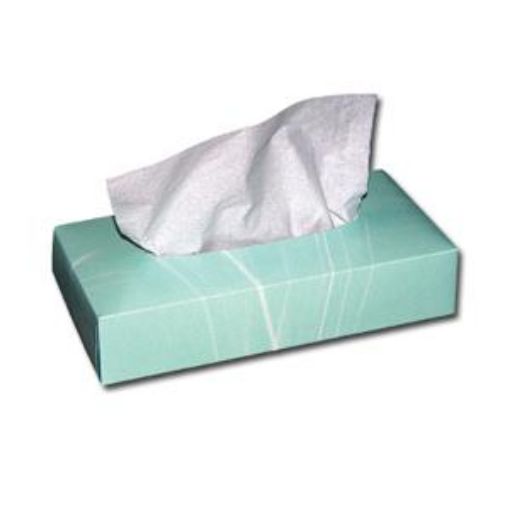 Picture of Cloudsoft 2ply White Facial Tissue 36x100sh