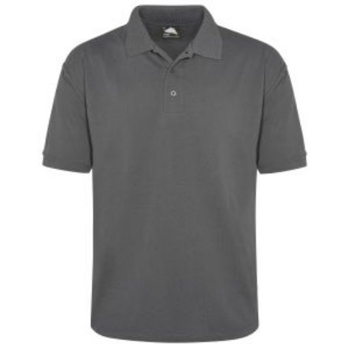Picture of Raven Classic Polo Shirt - Graphite Grey